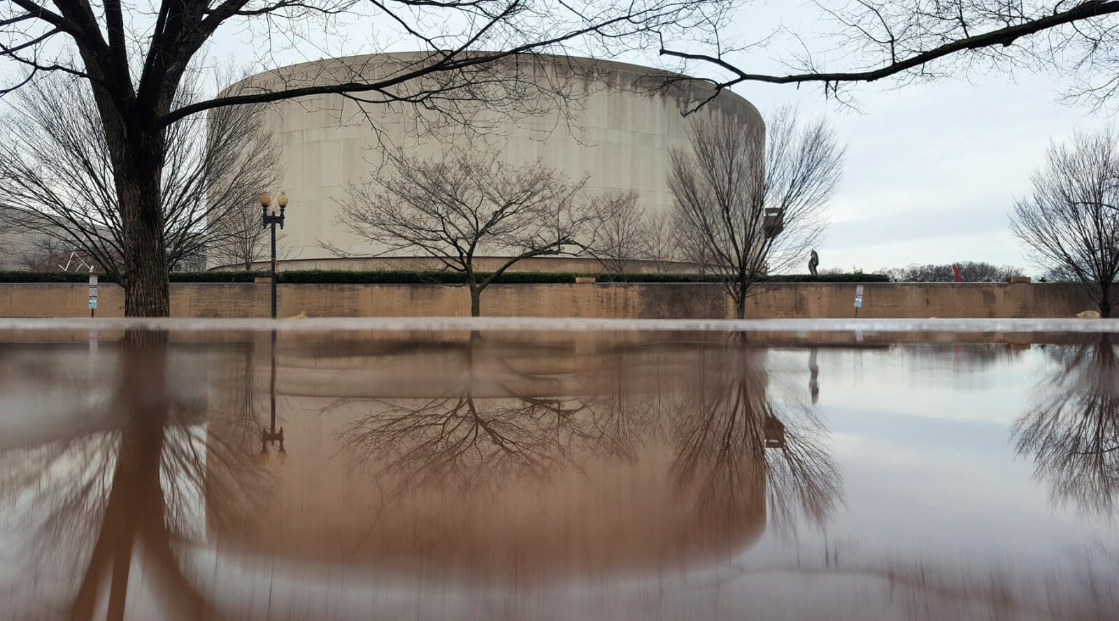 Color 2nd Place | Soft Brutalism