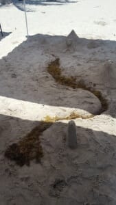 AIM Summer Camp 2019 Sandblast Competition @ Crandon Park