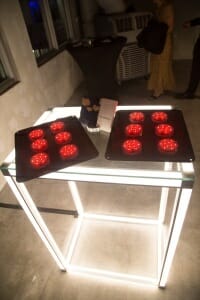 aia gala
