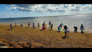 aim summer camp