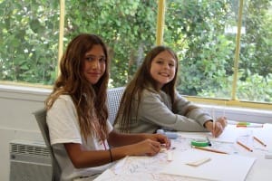 aim 2024 gallery