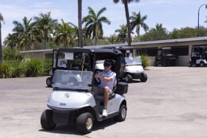 golf gallery