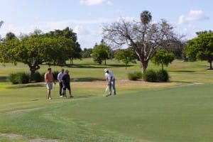 golf gallery
