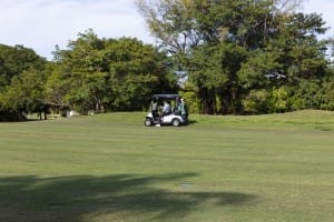 golf gallery