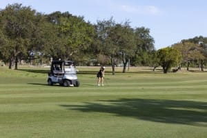 golf gallery