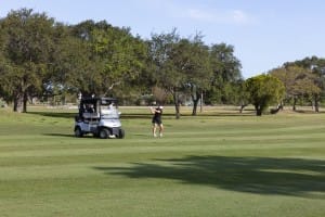 golf gallery