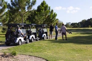 golf gallery
