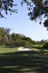 golf gallery