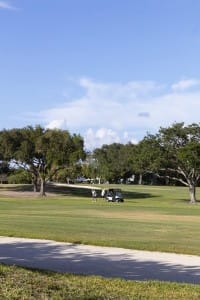 golf gallery