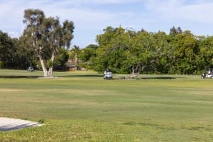 golf gallery