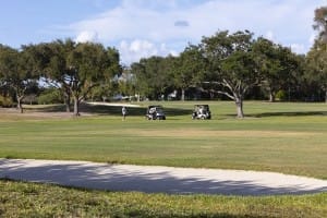 golf gallery