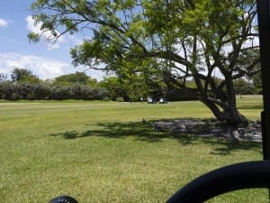 golf gallery