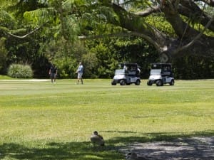golf gallery
