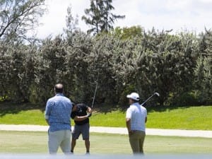 golf gallery