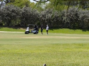 golf gallery