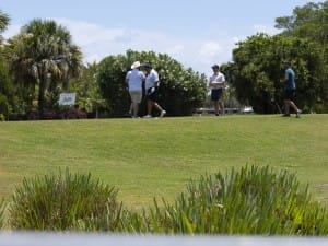 golf gallery