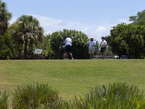 golf gallery