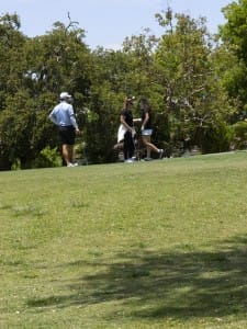 golf gallery