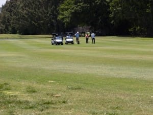 golf gallery