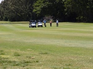 golf gallery