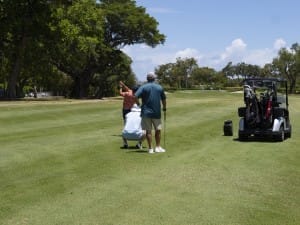 golf gallery