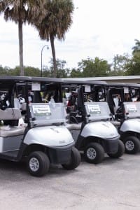 golf gallery