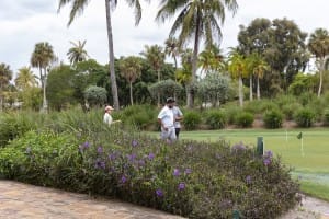 golf gallery