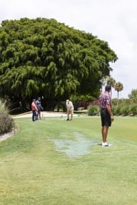 golf gallery