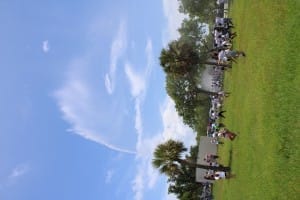 2025 aim gallery