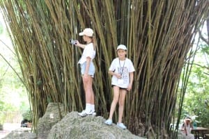 2025 aim gallery