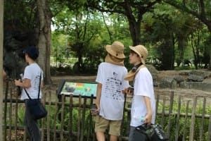 2025 aim gallery