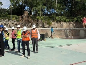 venetian pool hardhat