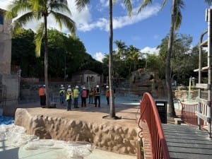 venetian pool hardhat