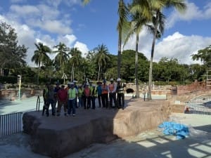 venetian pool hardhat