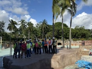 venetian pool hardhat
