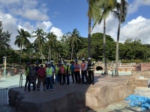 venetian pool hardhat