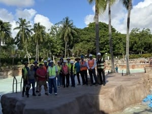 venetian pool hardhat