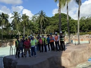 venetian pool hardhat