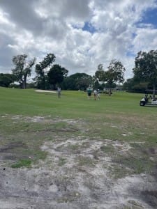 aia miami golf tourney 2026 gallery