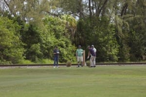 aia miami golf tourney 2026 gallery