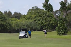 aia miami golf tourney 2026 gallery