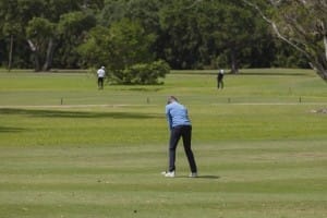 aia miami golf tourney 2026 gallery
