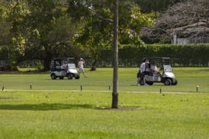 aia miami golf tourney 2026 gallery
