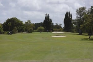 aia miami golf tourney 2026 gallery