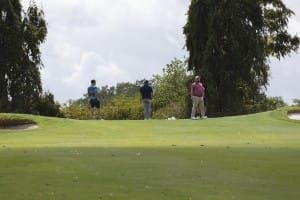 aia miami golf tourney 2026 gallery