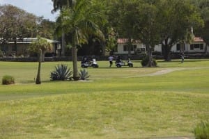 aia miami golf tourney 2026 gallery