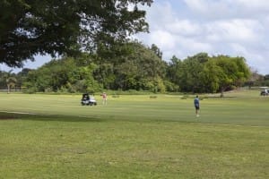 aia miami golf tourney 2026 gallery