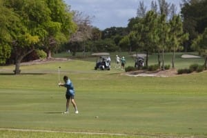 aia miami golf tourney 2026 gallery