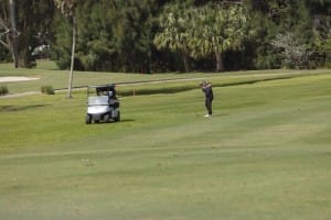 aia miami golf tourney 2026 gallery