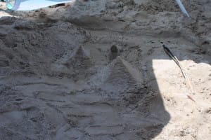 aim 2026 sandblast